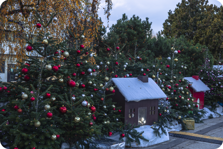 Agrandir l'image, .PNG 2 MB (fenêtre modale)