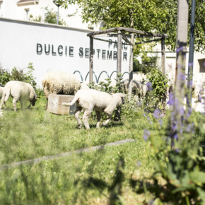 Agrandir l'image, .PNG 1,9 MB (fenêtre modale)