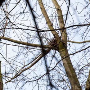 Agrandir l'image, .PNG 2,0 MB (fenêtre modale)