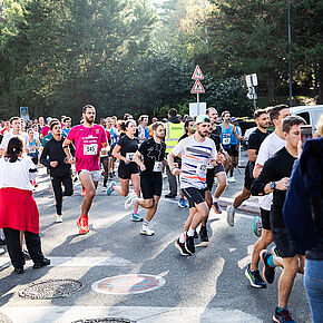 Agrandir l'image, .JPG 473,4 KB (fenêtre modale)