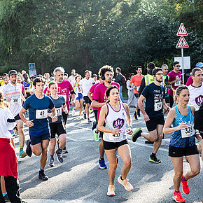 Agrandir l'image, .JPG 457,3 KB (fenêtre modale)