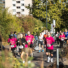 Agrandir l'image, .JPG 592,8 KB (fenêtre modale)