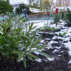 Agrandir l'image, .PNG 2,2 MB (fenêtre modale)