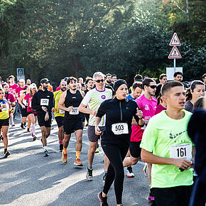 Agrandir l'image, .JPG 388,8 KB (fenêtre modale)