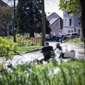 Agrandir l'image, .PNG 1,9 MB (fenêtre modale)